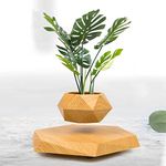 BLUEHAVEN INTERNATIONAL | Wooden Themed Floating Levitating & Rotating Pot- Defying Natural Gravity | Perfect Bonsai Planter | Unique Precious Lavish Gift | Home Office Livingroom Decor Item |