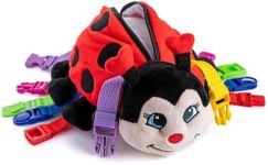 Buckle Toys - Becky Ladybug Stuffed Animal - Montessori Learning Activity - Develop Motor Skills and Problem Solving - Sensory Toddler Travel Toy