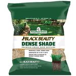 Jonathan Green 10622 Dense Shade Grass Seed Mix, 1 Pounds