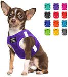 CollarDirect Step-in Reflective Dog Harness - Any Weather Air Mesh for Small and Medium Dogs Easy to Put On and Off (Size M, Purple)