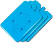 [3PCE] Home Master Ice Bricks, Reusable and Long-Lasting Ice Packs for Coolers, Lunch Boxes, and More, Keep Food and Drinks Cold for Hours (16 x 11cm)