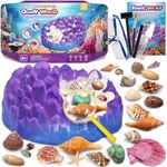 PIBEX Ocean Fossil Dig Kit, Dig up 20+ Real Shells & Seasnails, STEM Educational Activity Set Sea Creatures Excavation Toy for Kids, Marine Biology Geology Science Kit, Gift for Boys and Girls Age 6+