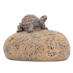 Stone Key Hider with Lifelike Image, Hide Key, Home Garden Decor, Rock Texture, Material, Privacy for Indoor Outdoor Use