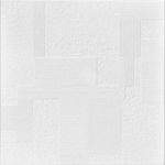 A la Maison Ceilings R187 Vectors Foam Glue-up Ceiling Tile (128 sq. ft./Case), Plain White