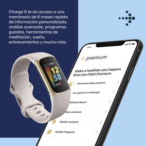 Fitbit Charge 5 Activity Tracker – Steel Blue