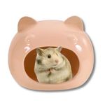 Pawcart Ceramic House for Hamster, Gerbils & Other Small Size Pets | Adorable Cartoon Shape Pet Hideout with Cooling Effect | Pet Cage Decor Ceramic House Miniature (Orange Peach (Ceramic)