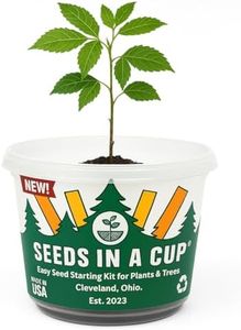 Seeds in A Cup- Tree Growing Kit (Southern Magnolia)