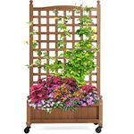 Yaheetech Raised Bed Fir Wood Raised Garden Bed Raised Planter Box for Vine Climbing Plants with Trellis and Wheels for Vegetable Flower Herbs