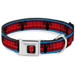 Buckle-Down DC-WSPD040-M 11-17""SPDA-Spider-Man Dog Collar, Medium