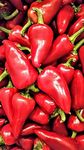 Fresh Red Fresno Chile Peppers 1 lb