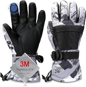 Ski Gloves