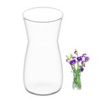 Vase Flowers Glass, Clear Glass Vases for Flowers, 20CM Tall Flower Vase for Table Decor, Glass Vase for Pampas Grass, Tulips, Orchids, Roses, Dried Flowers