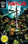 Teenage Mutant Ninja Turtles The Ultimate Comic Art Poster Book