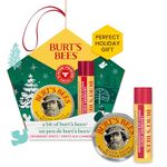 Burt's Bees for Lip & Hand, Cranberry Spritz Lip Balm and Hand Salve in a Festive Box, Bit of Burt's