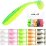 Dovesun Crappie Lures Kit Soft Plastic Baits Paddle Tail Swimbaits Fishing Soft Plastic Lures Crappie Walleye Trout Bass Fishing Baits 60pcs