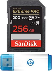 SanDisk Ex