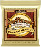 Ernie Ball Acoustic Guitar Strings,