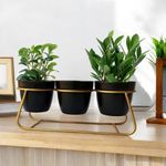 ecofynd 4 inches Bella Metal Planter Pot with Stand, Modern Style Planter Set, Indoor Outdoor Home Item for Garden Plants Flower, Balcony, Patio, Living Room, Garden, Bedroom Decor (PWS014)