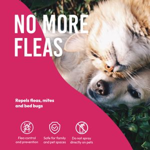 Petsly Flea Spray for Pets, 500ml – Fast-Acting Pest Control