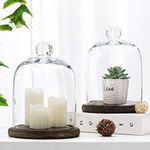 MyGift Clear Cloche Glass Dome, Display Bell Jar with Top Handle and Rustic Brown Solid Wood Base, Set of 2