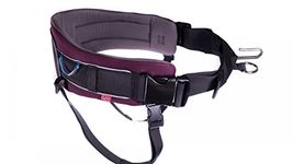 Non-stop Dogware Waist Belt, trekking belt for pulling a dog, running belt for training a dog and sport, Purple, Unisex