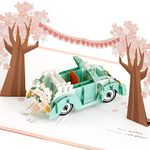 Hallmark Signature Paper Wonder Pop Up Wedding Card (Classic Car, Just Married)