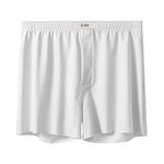 Men's Boxer Shorts Arrow Pants Beach Sports Fitness Quick Dry Breathable ice Silk Underwear Home wear 1pc,White,XL