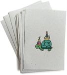 Party Animals Birthday Cards - 24 Turtle Note Cards with Envelopes - Birthday Thank You Cards for Kids