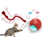 Alikofo Interactive Cat Toys Ball for Indoor Cats Fast Rolling on Carpet, Chirping & Motion Activate Cat Toys (Red)