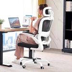 DROGO Premium Ergonomic Office Chair for Work from Home, High Back Computer Chair with Adjustable Seat, Lumbar Support & Headrest, Flip-up Armrest & Recline | Mesh Chair for Office/Home (White-Black)