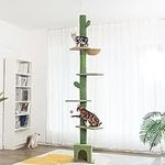 Meow Sir Cat Tree Floor to Ceiling Cat Tower Ajustable Height [82-108 Inches=208-275 cm], 6 Tiers Cat Funiture for Indoor Cats with Private Condo and Hammock and Sisal Covered Post-Green Cactus