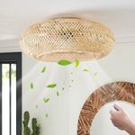 Boho Caged Ceiling Fan with Light F