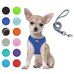 Puppy Harness and Leash Set - Dog V
