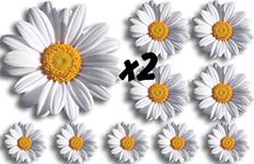 Daisy-Flower-Decals-Car-Stickers-Graphics-Nursery-Wall-Window-Decorations-Art (20 Pack)