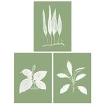 Wee Blue Coo Pack of 3 A4 Sage Green Tree Plant Detailed Foliage Xray Imprint Monochrome Botanical Unframed Wall Art Living Room Prints Set