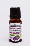 Pure Bulgarian Organic Lavender Essential Oil – 10 ml