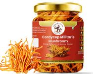 Mushroom Essence Cordyceps Militaris Dried Mushroom 35gms -Energy | peak performance|Fatigue Support - pack of 1