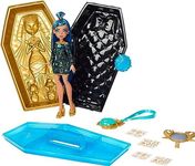 Monster High Doll and Beauty Kit, C