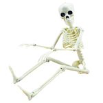 16” Posable Halloween Skeleton- Full Body Halloween Skeleton with Movable Joints for Haunted House Props Decorations (1 Piece)