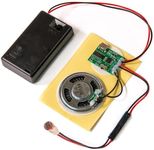 Talking Products, MP3 Sound Chip Mo