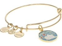 Alex and Ani Pawtumn Bracelet, One Size, Brass, no gemstone