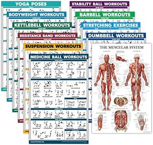 11 Pack - Exercise Poster Set: Dumbbell, Suspension, Kettlebell, Resistance Bands, Stretching, Bodyweight, Barbell, Yoga, Exercise Ball, Muscular System, Medicine Ball (Laminated, 18" x 24")