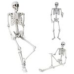 5.4Ft/165cm Halloween Life Size Skeleton Full Body with Movable Joints for Halloween Party Prop Scary Graveyard Haunted House Lawn Yard Decorations (Grey)