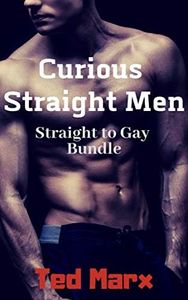 Curious Straight Men: Straight to Gay Bundle