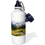 3dRose wb_80653_1 the Grand Tetons in Wyoming - Water Bottle, 21 oz (Wb_80653_1) - white, 21 oz