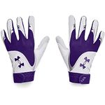 Under Armour Women's Radar 20 Softball Gloves , Purple (500)/Purple , Small