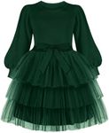 Arshiner Fall Toddler Dress Christmas Holiday Tutu Long Sleeve Tulle Clothes Green 3t