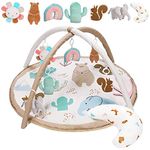 Washable Baby Gym Activity Center with Animal Play Mat, Visual, Hearing, Touch, Cognitive Early Development Playmats, 6 Toys for Infant & Toddler, Larger