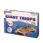 Triops Kit