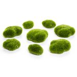 Darice 1189-187/DCLC Moss Rocks, Naturals, Green Sizes, 8ct